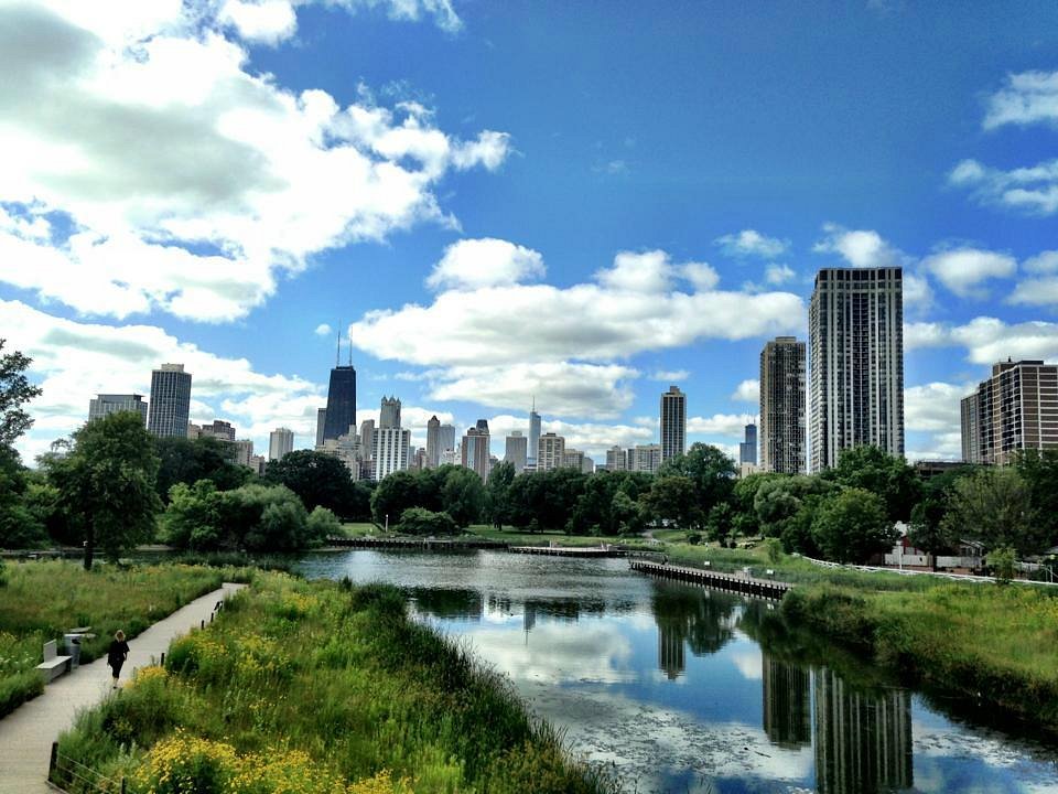 What's My Home Worth In Lincoln Park